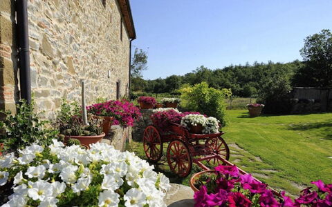 Mulino della Villa: Flor, Arbusto, Jardín, Rosado, Primavera, Paisajismo, Maceta, Floristas, Yarda, Planta De Casa