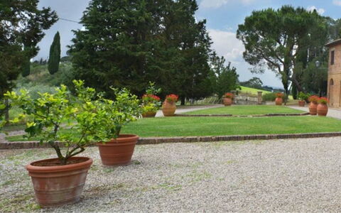 Il Tinaio: Arbusto, Jardín, Maceta, Paisajismo, Losa, Pasarela, Yarda, Césped, Hacienda