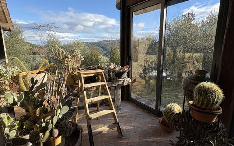 Poggio Aperto: Maceta, Jardín, Paisajismo, Planta De Casa, Patio Interior, Estructura Al Aire Libre