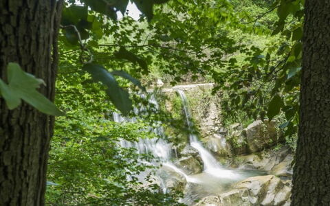 Mulino della Frateria: Los Recursos Hídricos, Agua, Cuerpo De Agua, Naturaleza, Entorno Natural, Paisaje Natural, Rama, Corriente, Corriente De Agua, Vegetación