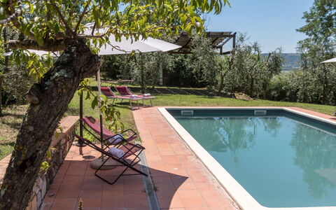 Bellaria: Piscina, Hacienda, Inmuebles, Jardín, Yarda, Sombra, Villa, Patio Interior, Casa De Campo, Paisajismo