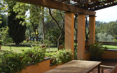 Podere Torre: Madera, Arbusto, Jardín, Planta De La Comunidad, Sombra, Cobertura Del Suelo, Patio Interior, Estructura Al Aire Libre, Paisajismo