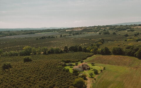 Bagnoletto: Pradera, Campo, Llanura, Paisaje, Plantación, Área Rural, Agricultura, El Terreno Del Lote, Prado, Pasto