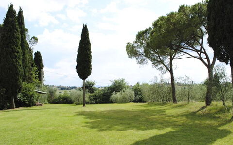 Villa Il Poggio: Hierba, Árbol, Hoja, Rama, Arbusto, El Terreno Del Lote, Pradera, Llanura, El Maletero
