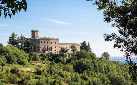 Cascina Tabia: Paisaje, Arquitectura, El Terreno Del Lote, Castillo, Área Rural, Inmuebles, Palacio, Atracción Turística, La Arquitectura Medieval
