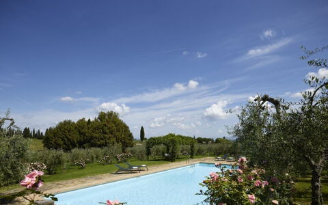 Villa del Riccio: Arbusto, Jardín, Inmuebles, Paisajismo, Hacienda, Villa, Piscina, Plantación, Patio, Casa De Campo