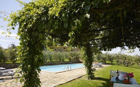 Villa del Riccio: Sombra, Mueble Para Exteriores, Patio Interior, Piscina, Eco Hotel