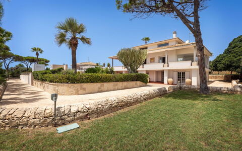 Villa delle Palme: Barrio Residencial, Casa, Inmuebles, Mansión, Paisajismo, Jardín, Hacienda, Balcón, Villa