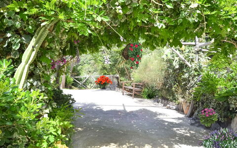 Villa Campanella: Flor, Vegetación, Arbusto, Jardín, Primavera, Floristas, Jardín Botánico, Pasarela, Sendero