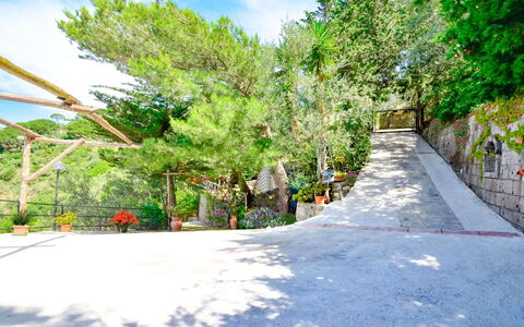 Villa Campanella: Árbol, Hoja, Rama, Vegetación, Plantas Leñosas, Pasarela, Sombra, Escalera, Paisajismo, Entrada De Coches