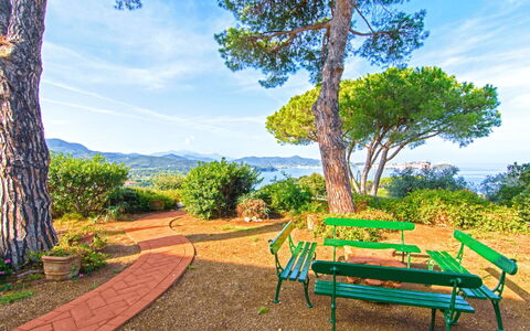 Villa Magazzini: Azul, Arbusto, Paisaje, Jardín, Primavera, Paisajismo, Jardín Botánico, Sombra, Parque, Pasarela
