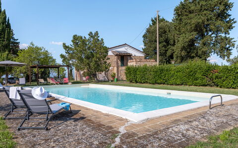 Poggio Padule: Piscina, Mueble Para Exteriores, Inmuebles, Patio Interior, Jardín, Hacienda, Sombra, Casa De Campo, Villa, Yarda