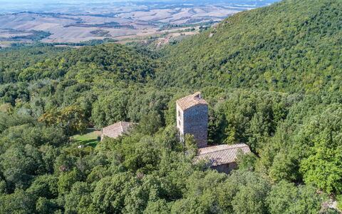Villa Linchiano: Entorno Natural, Naturaleza, Paisaje, Bosque, Selva, Restos, Castillo, Valdiviano Bosque Templado Lluvia