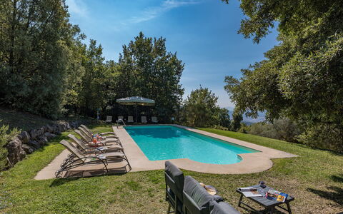 Villa Linchiano: Azul, Piscina, Árbol, Sombra, Jardín, Paisajismo, Mueble Para Exteriores, Eco Hotel, Hojas Perennes