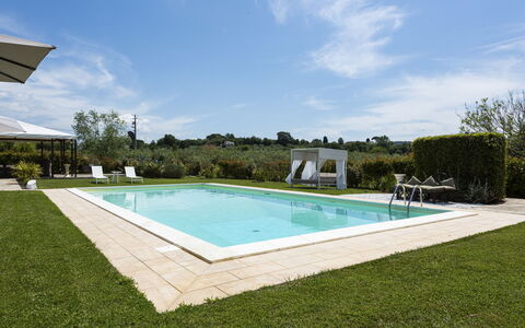 Villa Yvonne: Piscina, Jardín, Recurso, Paisajismo, Césped, Sombra, Patio Interior, Inmuebles, Mueble Para Exteriores, Yarda