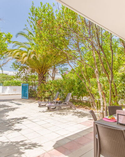 Villa Asami: Sombra, Jardín, Paisajismo, Eco Hotel, Zona Tropical, Mueble Para Exteriores, Recurso, Pasarela