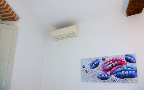 Ca Du Checcu: Pared, Techo, Habitación, Pintar, Marco, Yeso, Arte Moderno