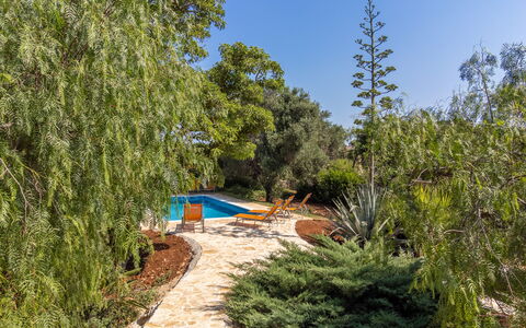Villa San Vito: Arbusto, Jardín, Plantas Leñosas, Sombra, Paisajismo, Patio Interior, Jardín Botánico, Hojas Perennes