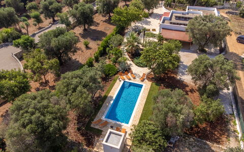 Villa San Vito: Árbol, Paisaje, Inmuebles, Paisajismo, Hacienda, Piscina, Plantación, Fotografía Aérea, Villa