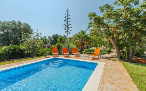 Villa San Vito: Azul, Piscina, Recurso, Jardín, Eco Hotel, Ocio, Paisajismo, Sombra, Mueble Para Exteriores, Fuente De Agua