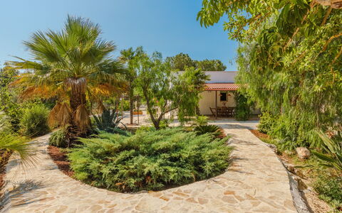 Villa San Vito: Arbusto, Jardín, Paisajismo, Plantas Leñosas, Sombra, Hacienda, Entrada De Coches, Inmuebles, Losa