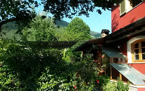 Villa Camaiore: Área Rural, Cabaña, Jardín, Pueblo, Yarda, Patio Interior, Hacienda