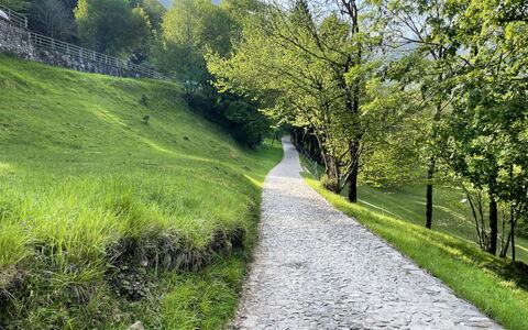 Miralago: Verde, Hierba, Paisaje Natural, Paisaje, Sendero, Pasarela, Cobertura Del Suelo, Vía Pública, Puerto De Montaña, Paisajismo