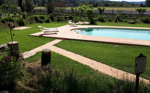 Appartamento Vele, Wifi, Near Perugia: Jardín, Piscina, Mueble Para Exteriores, Césped, Sombra, Patio Interior, Paisajismo, Ocio, Parque, Fuente De Agua