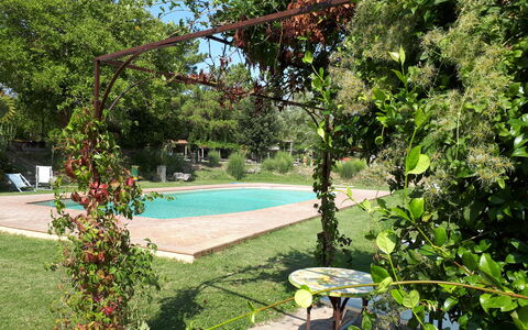 Appartamento Poggiolo, Wifi, Near Perugia: Arbusto, Jardín, Sombra, Primavera, Patio Interior, Yarda, Césped, Paisajismo, Maceta