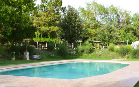 Appartamento Scuderia Del Borgo, Wifi, Perugia: Piscina, Árbol, Recurso, Sombra, Jardín, Mueble Para Exteriores, Ocio, Patio Interior, Paisajismo, Fuente De Agua