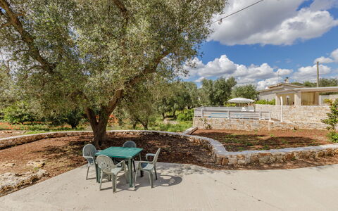 Trullo Quattro Carrini: Jardín, Sombra, Inmuebles, Paisajismo, Patio Interior