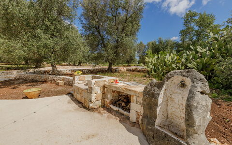 Trullo Quattro Carrini: Árbol, El Maletero, Plantas Leñosas, Jardín, Suelo, Paisajismo, Sombra