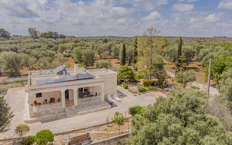 Villa Vera: Árbol, Inmuebles, Casa, Hacienda, Paisajismo, Mansión, Villa, Entrada De Coches, Casa De Campo
