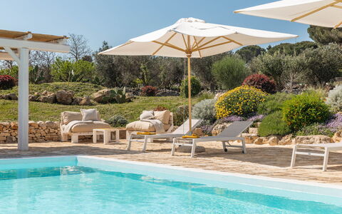 Masseria Le Monache: Mueble Para Exteriores, Paraguas, Sombra, Silla, Jardín, Recurso, Maceta, Eco Hotel, Paisajismo, Diseño
