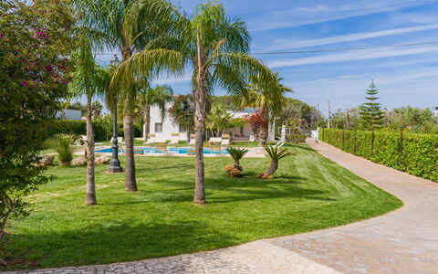 Ville Poggioreale: Árbol, Jardín, Arbusto, Césped, Plantas Leñosas, Paisajismo, Sombra, Hacienda