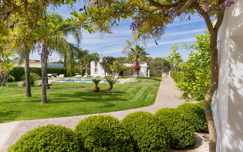 Ville Poggioreale: Azul, Árbol, Jardín, Arbusto, Paisaje, Césped, Sombra, Paisajismo, Yarda