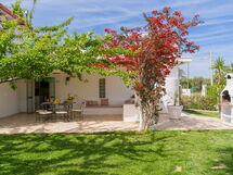 Alojamiento:&nbsp;Apulia Shanti House