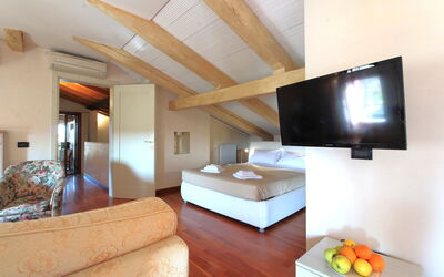 Alojamiento:&nbsp;Terrace Apartment