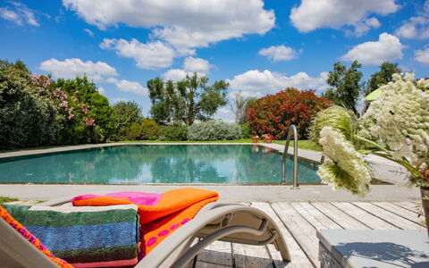 Villa Flaminia: Agua, Piscina, Mueble Para Exteriores, Arbusto, Jardín, Mueble, Silla, Recurso, Ocio, Eco Hotel