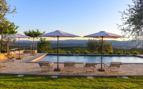 Podere Vigna Nuova: Cielo, Árbol, Piscina, Mueble Para Exteriores, Sunlounger, Recurso, Paraguas, Eco Hotel, Paisajismo, Ciudad De Vacaciones