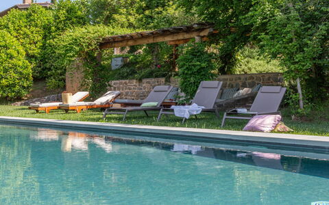 Casale le Fonti: Piscina, Mueble Para Exteriores, Jardín, Sunlounger, Recurso, Sombra, Eco Hotel, Patio Interior, Ocio, Paisajismo