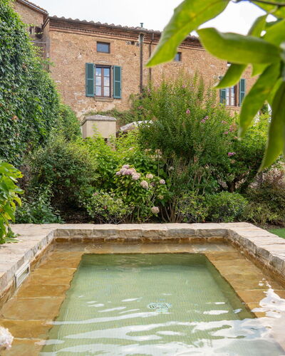 Town House Garden