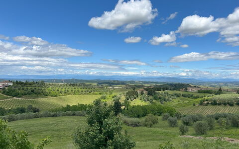 Belmonte Spereto Apartment With Pool, Montaione: Cielo, Tiempo De Día, Entorno Natural, Hierba, Naturaleza, Nube, Horizonte, Vegetación, Paisaje Natural, Pradera