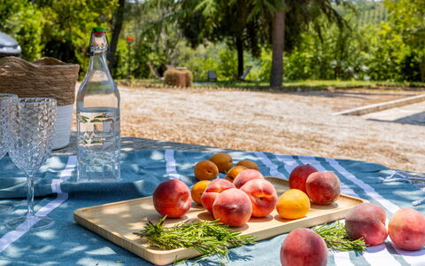 Casa Iume: Fruta, Produce, Comida, Vajilla, Los Alimentos Naturales, Manzana, Manteles, Melocotón, Picnic