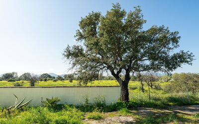 Sa Frontera