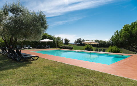 Country House In Tuscan Hills: Inmuebles, Piscina, Hacienda, Paisajismo, Recurso, Plantación, Eco Hotel, Villa, Casa De Campo
