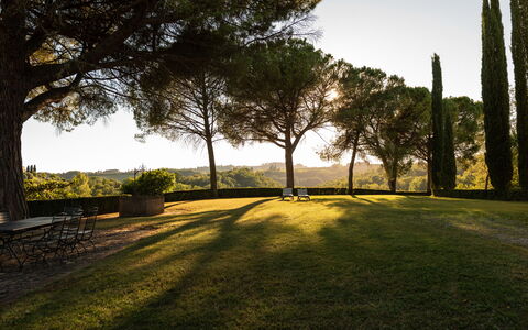 Green Hill Apartment In Tuscan Countryside: Árbol, Hierba, Naturaleza, Hoja, Rama, Paisaje, El Terreno Del Lote, Llanura, El Maletero, Luz De Sol