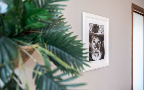 La Casa del Saggio: Pared, Diseño De Interiores, Marco, Maceta, Casa, Habitación, Planta De Casa, Florero, Pintar, Sala