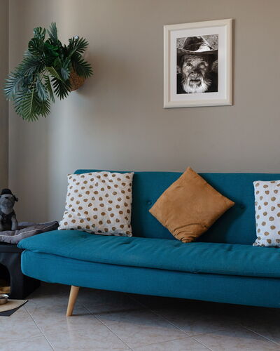 La Casa del Saggio: Mueble, Diseño De Interiores, Amortiguar, Sofá, Suelo, Piso, Textil, Arrojar La Almohada, Sala, Habitación