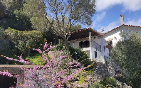 Belvedere Apartment Ac, Budoni: Árbol, Rama, Vegetación, Arbusto, Primavera, Ramita, Jardín, Florecer, Balcón